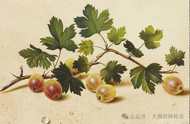 契诃夫笔下的“小确幸”陷阱,酸果为牢