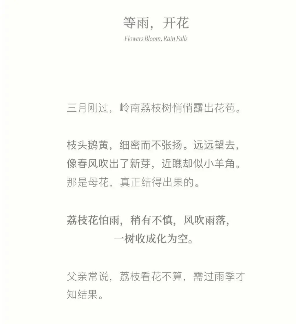 观夏 文案.jpg 观夏 文案.jpg